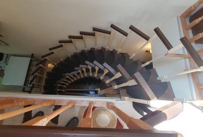 Vila spatioasa Sisesti, Vatra Noua - Padurea Baneasa - 24