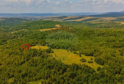 COMISION 0% Teren 6,572 mp/Cur?i construc?ii/ Intravilan - 7