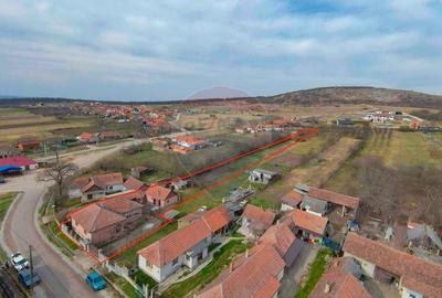 De vanzare Casa + Teren 2685 mp Intravilan, Betfia, Bihor - 8