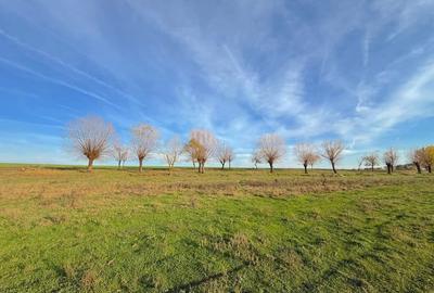 Loturi Intravilan Rate pe Lac Com Berceni | utilitati in zona | #LG14BF - 17