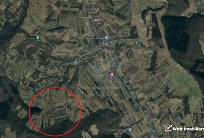 Teren extravilan 4400 mp, pozitie elevata, langa padure, Corusu