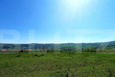 Teren 650 mp, PUZ in lucru, zona de case, zona Borhanci - 2