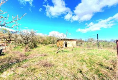 Teren de 1.550 mp de vânzare în Săcădate, Avrig - 2