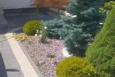 Casă cu 5 camere cu Teren 300 Mp în Rădăuți - 20