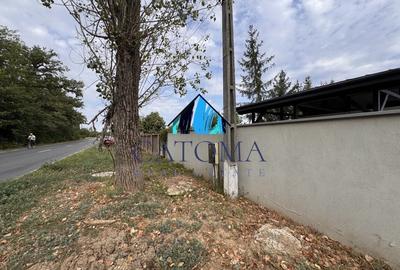 Teren 1.666 mp, construibil, cu acces direct din DN1 – langa padurea Snagov - 5