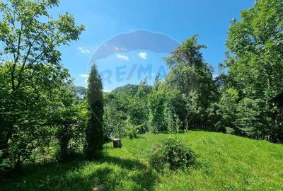 Casa de la marginea padurii! - 3