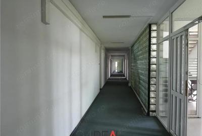 Spațiu comercial, în Kiseleff - 6