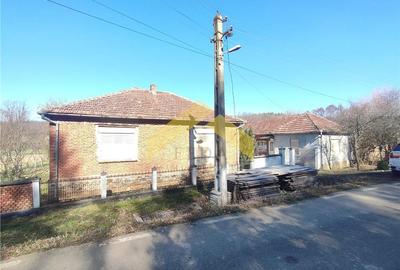 Casă individuală cu 5 camere cu Teren 1782 Mp în Căpruța - 1