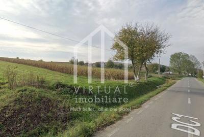 Spațiu comercial, în Fântânele - 1