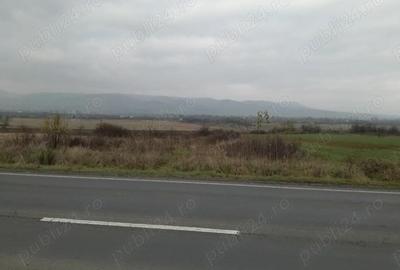 Teren arabil , fana? , livada langa padure situate in Turda? ?i Le?nic - 4