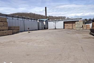 Spațiu comercial, de 43,000 mp, în Voila - 9