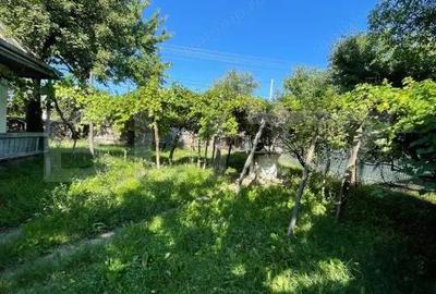 Casa + teren intravilan (5.916mp) -Fantana Mare - 2