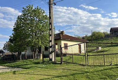 Spațiu comercial, în Ceplenița - 4