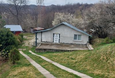 Casa de vacanta - 9