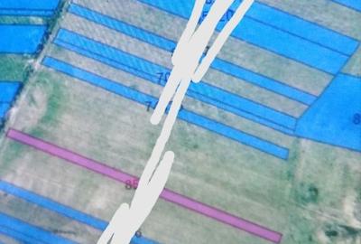 Teren agricol extravilan de 3900 mp, în Sud - 2