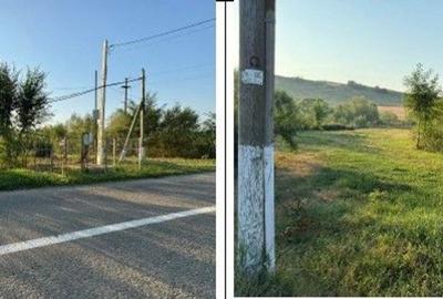 Teren de 2500 mp, în Români - 6