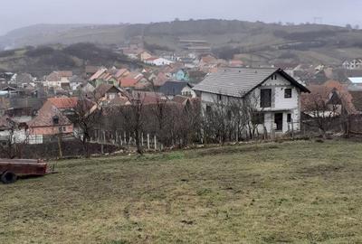 Spațiu comercial, de 3,600 mp, în Șura Mare - 3