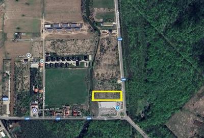 Teren de 5800 mp, în Snagov - 5