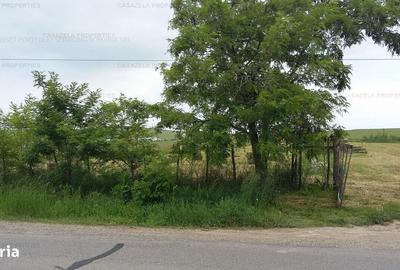 Teren de 1800 mp, în Central - 1