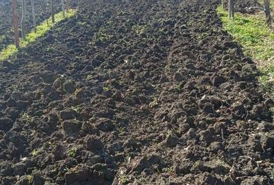 Vand Teren+Casa Batraneasca Olarii Vechi, Prahova - 2