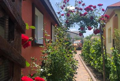 Casă cu Teren 2750 Mp în Vulpeni - 9