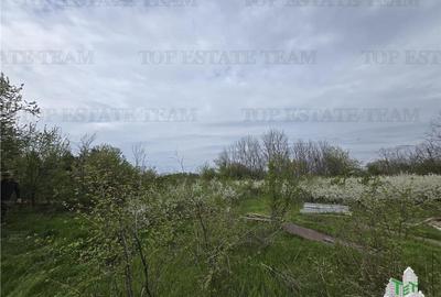 Teren Construcții intravilan de 2325 mp, în Bâcu - 3