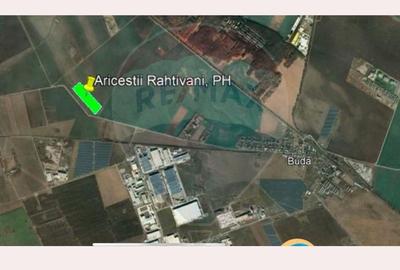 Teren Investitional de 52500 mp in Aricestii Rahtivani, Prahova - 3