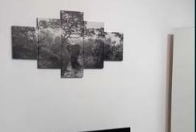 Apartament cu 2 camere semidecomandat, mobilat în Aviației - 4