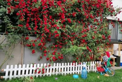 Apartament cu 3 camere, 67 mp, gradina, parcare, zona Tineretului - 5