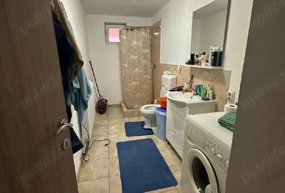 Casă cu 2 camere în Satchinez - 2