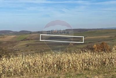 Teren de 6446 mp, în Bogdand