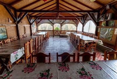 Casa / Vila de vanzare in Cristur jud.Hunedoara - 22