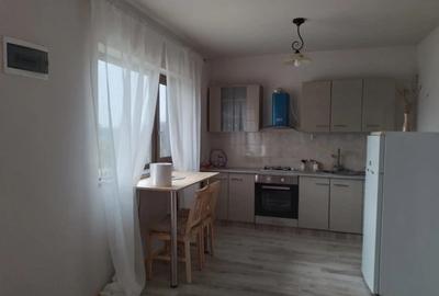 Casă în Hinova - 2