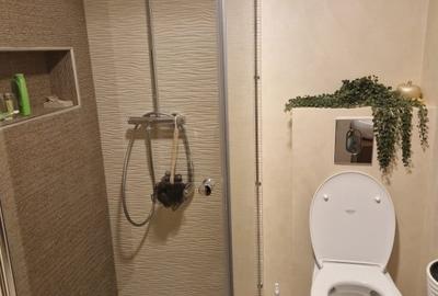 Vila noua pe etaj cu curte Colentina Andronache Vila noua pe etaj cu curte Colentina Andronache - 17