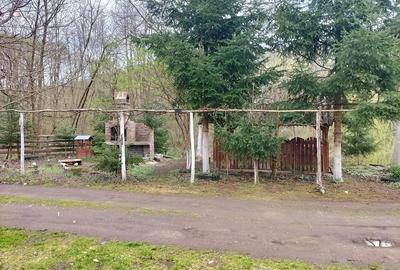 Teren de 14000 mp, în Gurahonț - 4