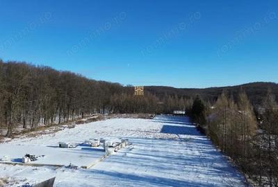 Teren de 9850 mp, în Dragomirna - 10