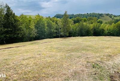 Spațiu comercial, în Central - 4