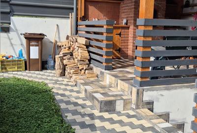 Casă cu 4 camere în Coman