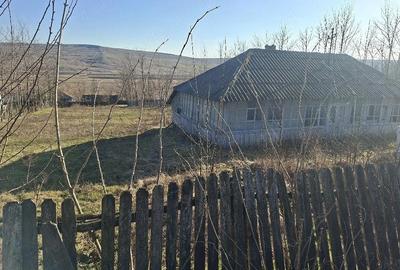 Casă cu Teren 1680 Mp în Cernești - 4