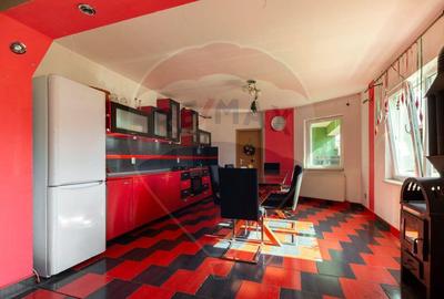 Casa SPATIOASA de vanzare in zona semicentrala - 14