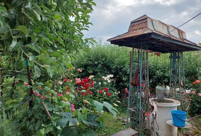 Casă cu 4 camere în Osica de Jos - 6