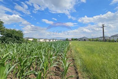 Casă individuală cu 6 camere cu Canalizare în Lisaura - 38