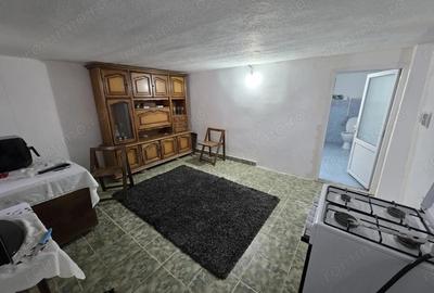 Casă cu 2 camere cu Teren 732 Mp în Tormac - 12