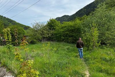 Teren de 4300 mp, în Tarcău - 2