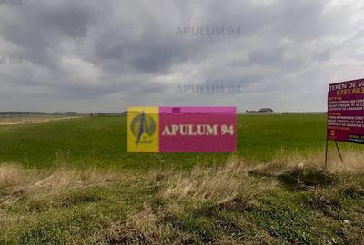 Teren Intravilan cu front stradal la un Drum Principal la... - 34