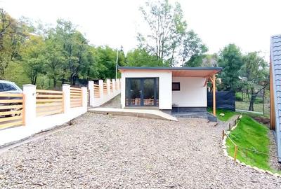 Casă cu 4 camere cu Teren 750 Mp în Provița de Sus - 12