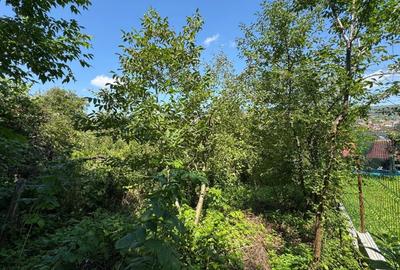 Duplex cu 5 camere cu Canalizare în Gruia