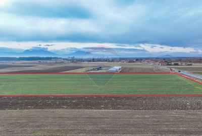 Teren agricol intravilan de 5300 mp, în Prejmer - 6
