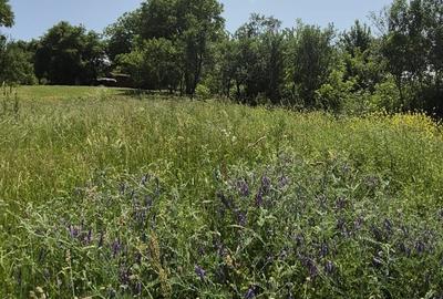 Teren de 2316 mp, în Feiurdeni - 6