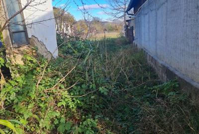 Casă cu 2 camere cu Teren 700 Mp în Central - 4